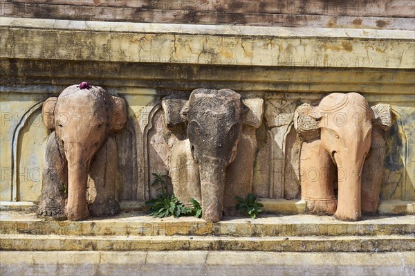 Elephant relief