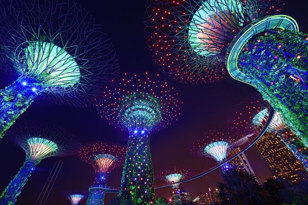 Supertrees at night