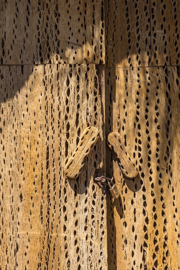 Door made of cactus wood