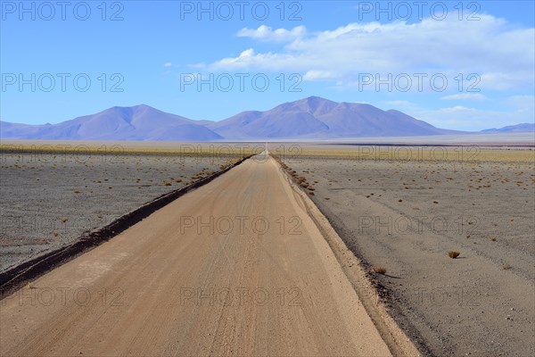 Straight gravel road to Desierto del Diablo