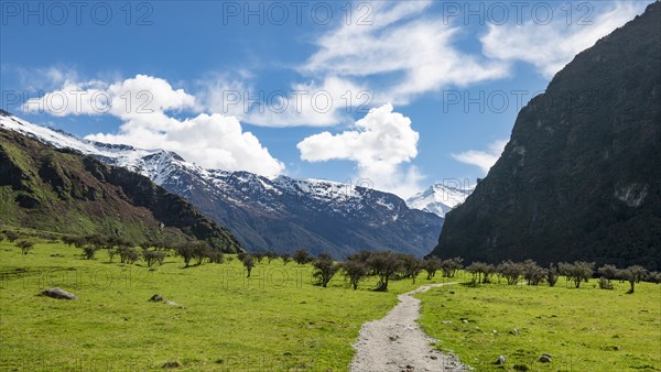 Hiking trail to Rob Roy Glacier