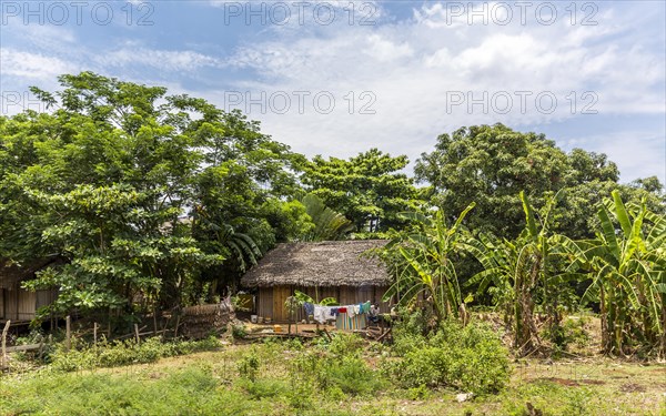 Simple straw hut