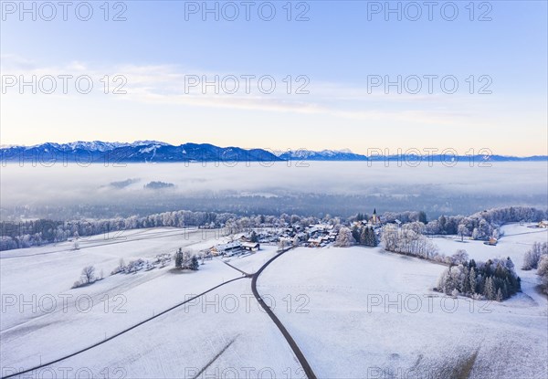 Winter landscape