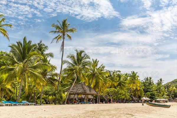 Sandy beach beach with palm trees