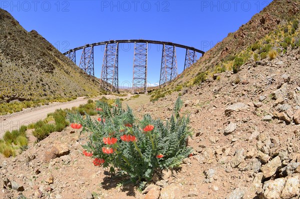 Viaduct