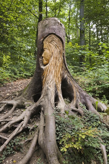 Pfullinger Sagenweg