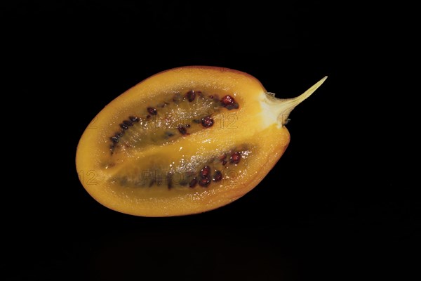 Tamarillo