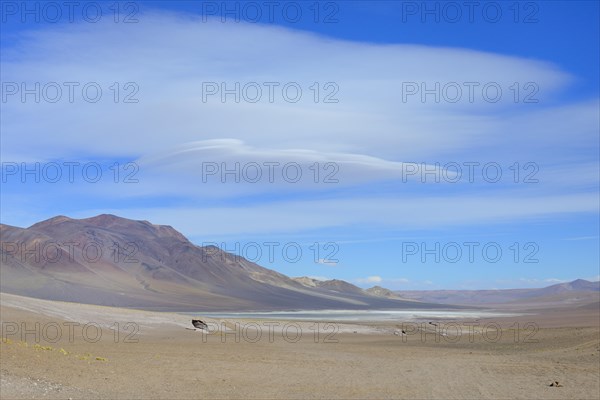 Desert landscape at the Salar de Tara