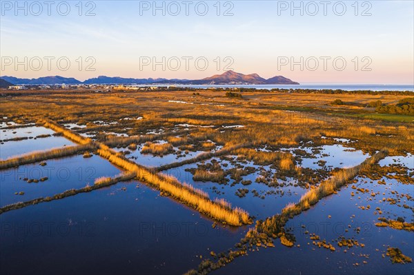 Wetland