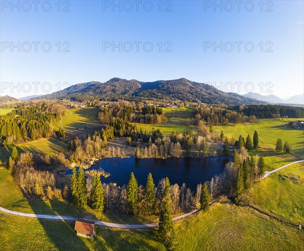 Schoenauer Weiher