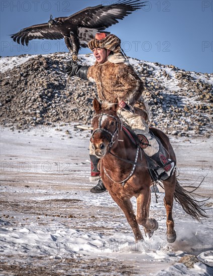 Mongolian eagle hunter