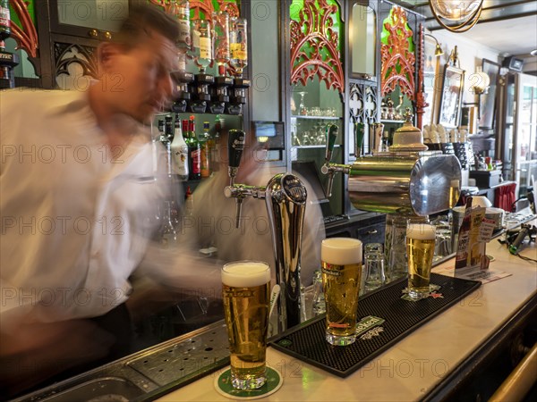 Dutch beer served in a bar