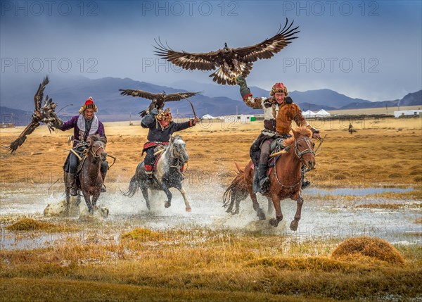 Mongolian eagle hunter