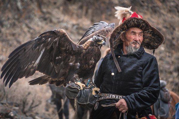 Mongolian Eagle hunter