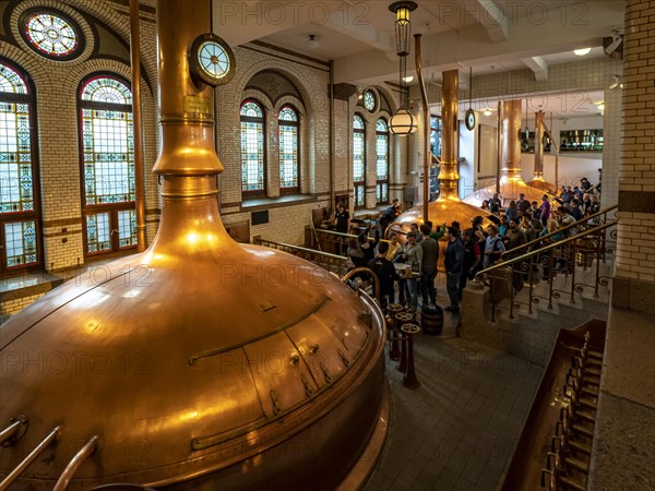 Brewing kettles in the Heineken brewery