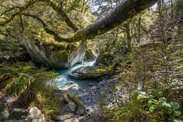 Rob Roy Stream