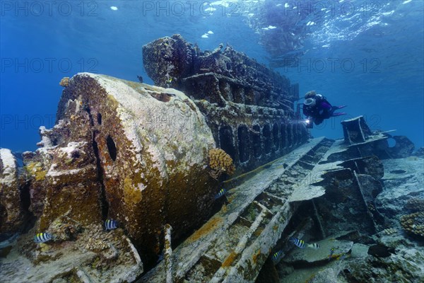 Diver viewing Malaysian shipwreck