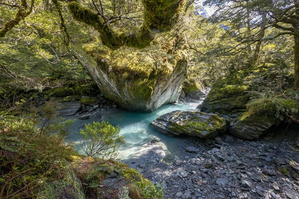 Rob Roy Stream