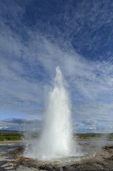 Water fountain