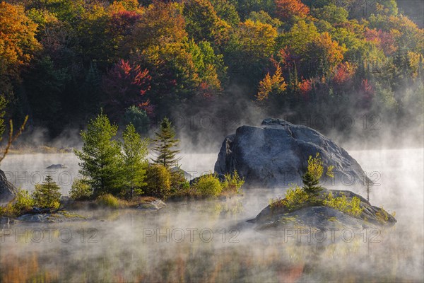 Early morning mist on lake in Autumn