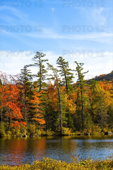 Baker Pond in autumn