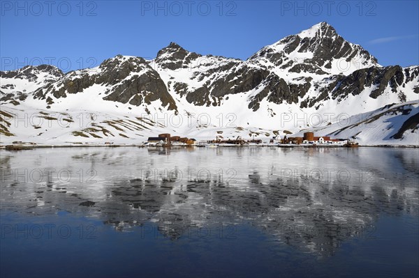 Former Grytviken whaling station