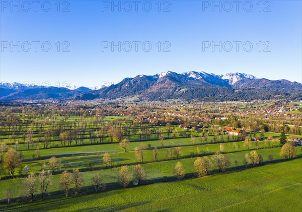 Hedge landscape in the Isar valley between Gaissach and Arzbach