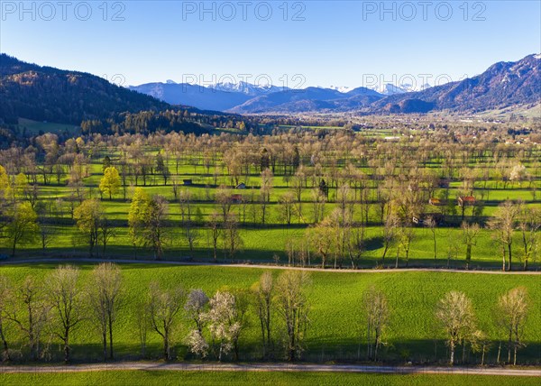 Hedge landscape in the Isar valley near Gaissach