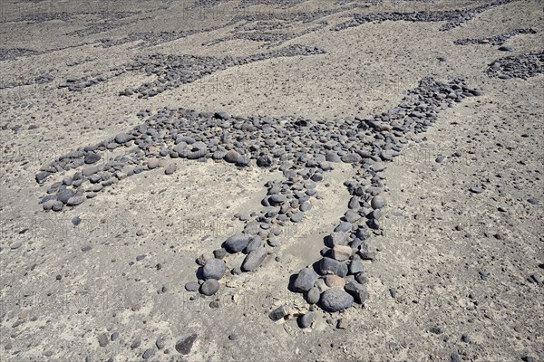 Giant geoglyphs of Tiliviche