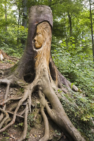 Pfullinger Sagenweg