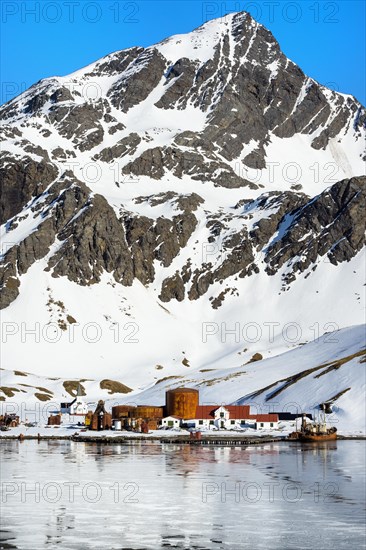 Former Grytviken whaling station