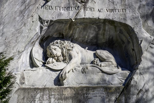 Lion Monument