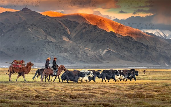 Shepherds riding horses to an autumn camp