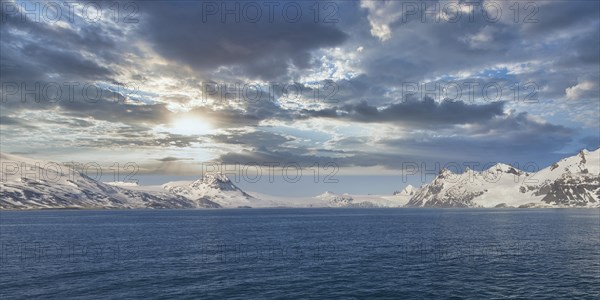 King Haakon Bay