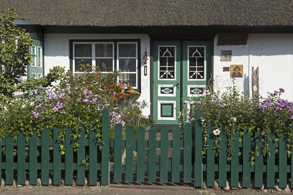 Thatched house in summer