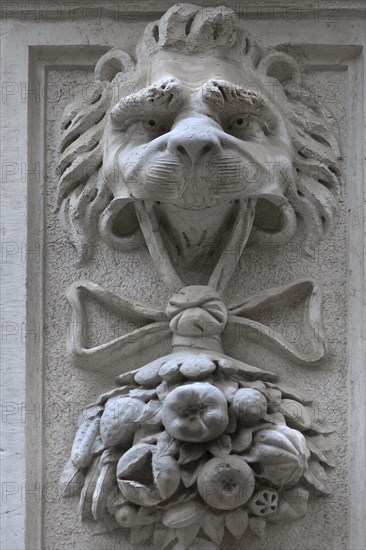Lion holding fruit in his mouth