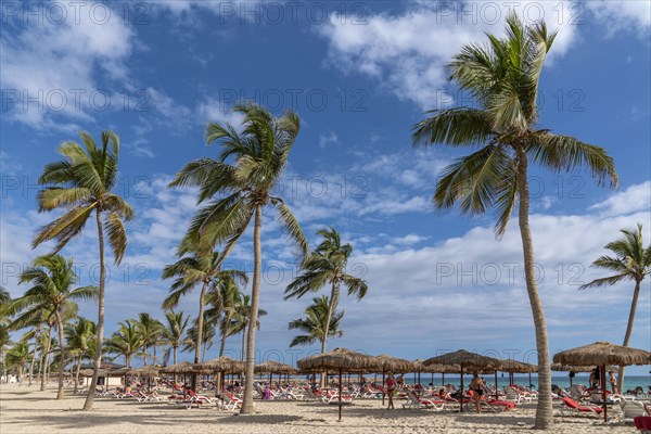 Bathers on the beach with palm trees
