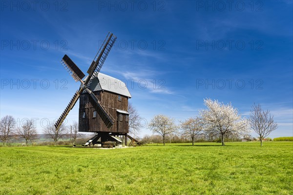 Buck Windmill Bechstedtstrass