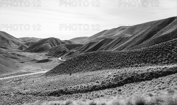 Black and white photo, barren mountain landscape with pass road