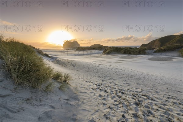 Sand dunes at sunset, Wharariki Beach Puponga