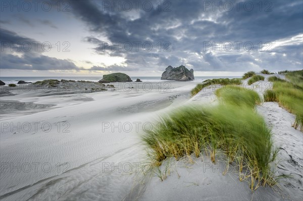 Grass-covered sand dunes at sunset, Wharariki Beach Puponga