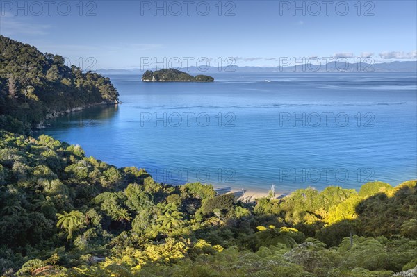 Abel Tasman Coastal Track, Abel Tasman National Park