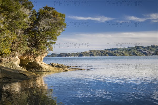 Tinline Bay, Abel Tasman Coastal Track