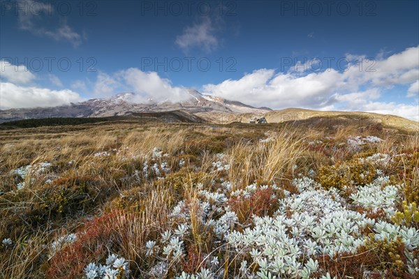 Volcano Mount Ngauruhoe, Tongariro National Park