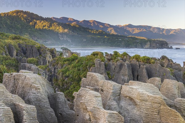 Rock formations of the Pancake Rocks, Paparoa National Park