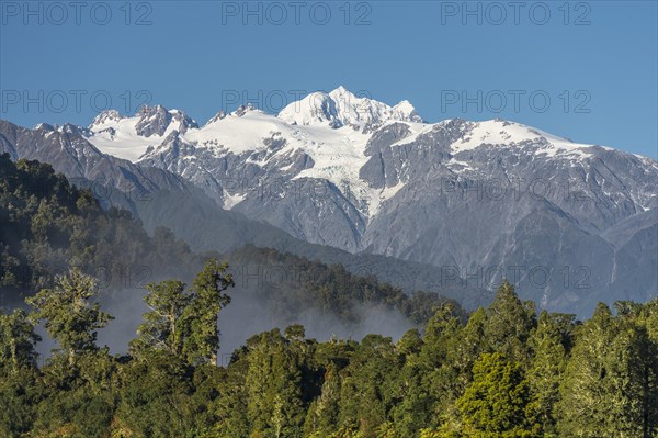 Glaciated peaks, in front subtropical forest