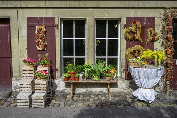 Flower shop in the historic centre of the old town, Inner City