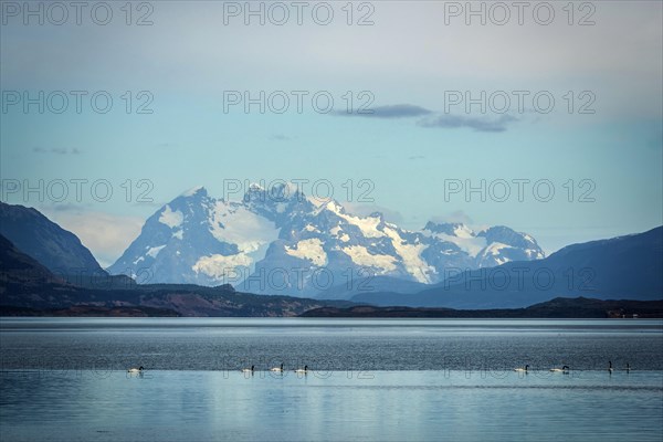 Bay of Last Hope, Fjordo Ultima Esperanza