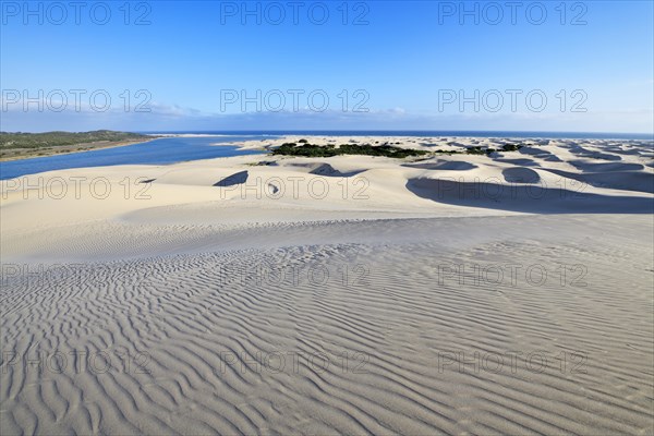 Sand dunes on the Sundays River, Alexandria Dune Fields