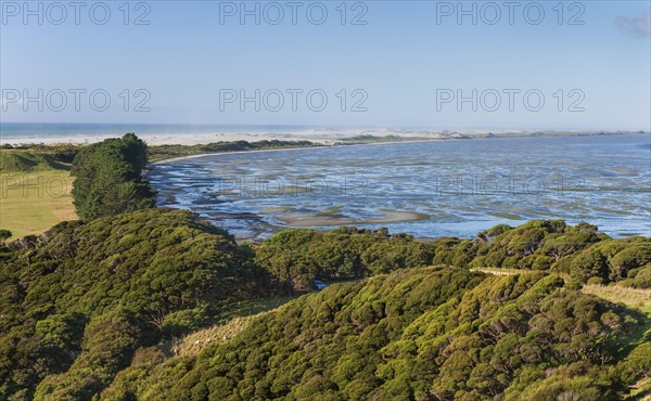 Shrub growth in front of beach lagoon with sand dunes, Farewell Spit